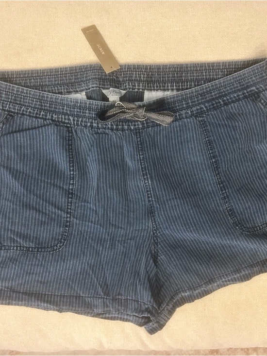J. Crew Pants - J. Crew Blue Pinstripe Drawstring Athletic Shorts